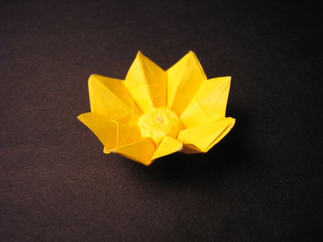 Blüte